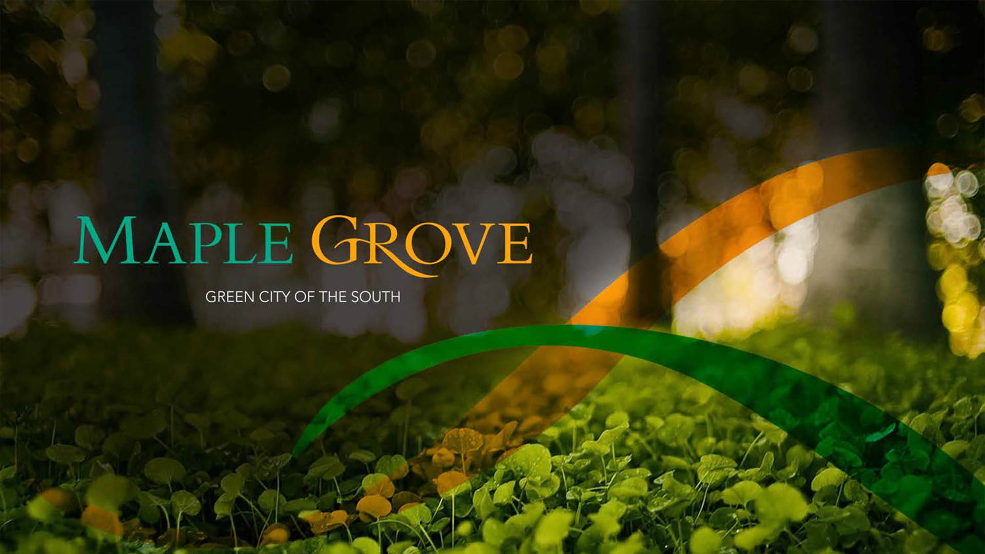 The Lead Realty Maple Grove Commercial Lots